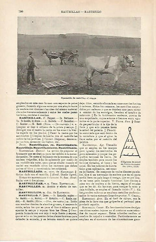 LAMINA ESPASA 15977: Rastrillar el campo