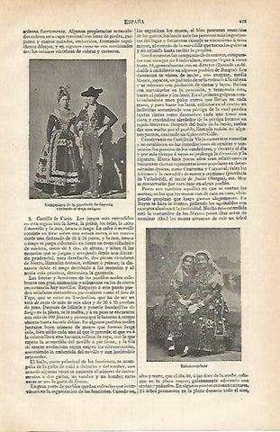 LAMINA ESPASA 15650: Campesinos de Segovia y mujeres de Salamanca
