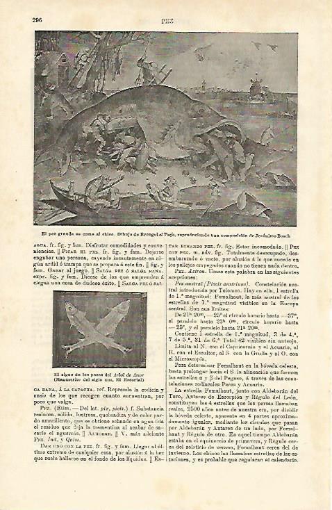 LAMINA ESPASA 23164: Dibujo de Brueghel el Viejo