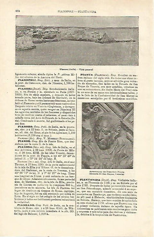 LAMINA ESPASA 23179: Vista de Pianosa Italia