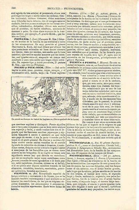 LAMINA ESPASA 23185: Picnic en la epoca de Isabel de Inglaterra grabado