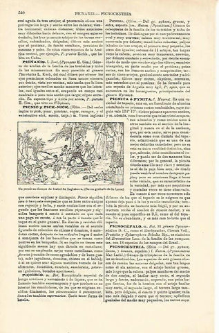 LAMINA ESPASA 23185: Picnic en la epoca de Isabel de Inglaterra grabado
