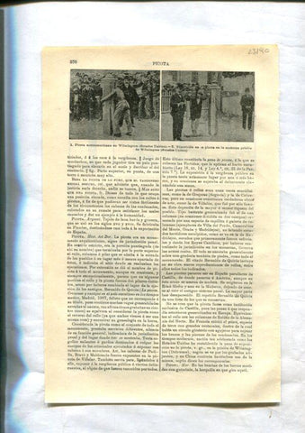 LAMINA ESPASA 23190: Diversos tipos de Picota en Avila, Segovia, Valladolid , Toledo, Portugal
