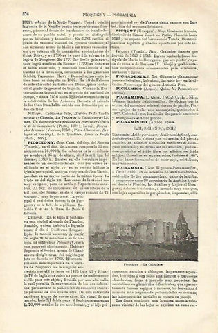 LAMINA ESPASA 23191: Colegiata de Piecquigny