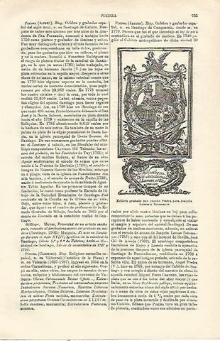 LAMINA ESPASA 23218: Exlibris por Jacobo Piedra