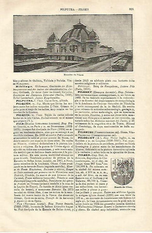 LAMINA ESPASA 23246: Estacion de Pilisen