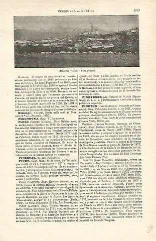 LAMINA ESPASA 23255: Vista de Pinerolo en Italia