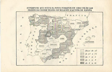 LAMINA ESPASA 23264: Mapa del pinus pinaster en España