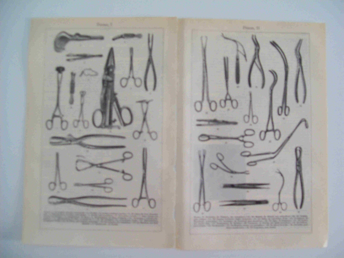 LAMINA ESPASA 23282: Tipos de pinzas