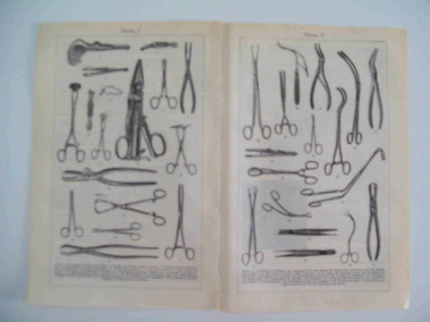 LAMINA ESPASA 23282: Tipos de pinzas