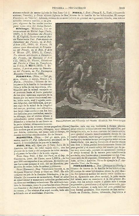 LAMINA ESPASA 23287: Descendiemiento por Sebastian del Piombo