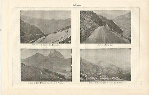 LAMINA ESPASA 23303: Pirineos