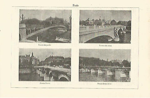 LAMINA ESPASA 23347: Puentes de Paris