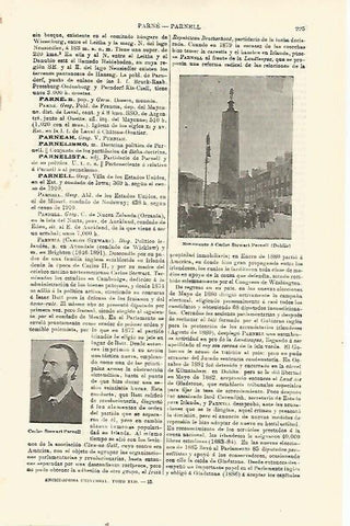 LAMINA ESPASA 23367: Monumento a C. Steward en Dublin