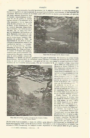 LAMINA ESPASA 23376: Parque de Mt Desert Island