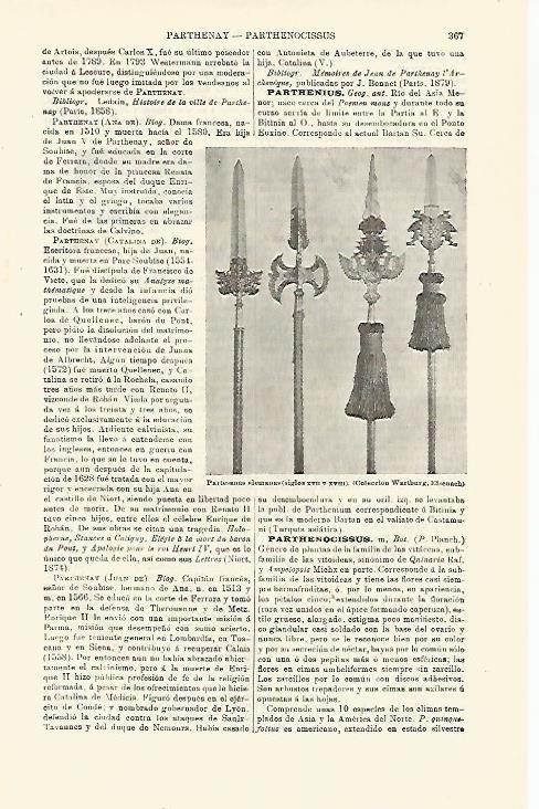 LAMINA ESPASA 23395: Partesanas de Alemania de la Coleccion Wartburg