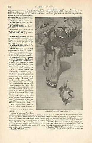 LAMINA ESPASA 23407: El paseo en Tokio por J. Henry