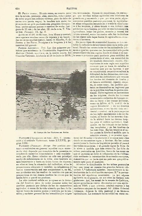 LAMINA ESPASA 23433: Campo de los Pastores en Belen