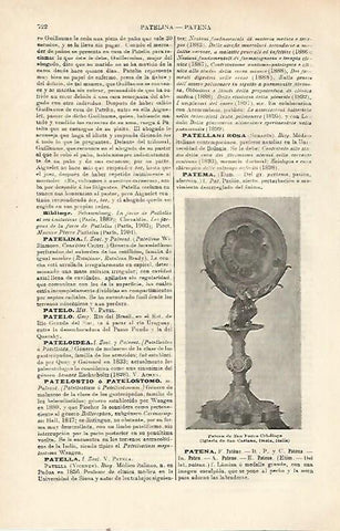 LAMINA ESPASA 23443: Patena de San Pedro Crisologo en Imola (Italia)