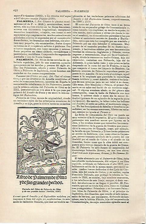 LAMINA ESPASA 23478: Portada del Libro de Palmeron de Oliva