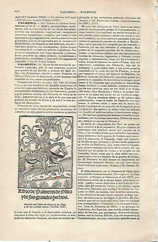 LAMINA ESPASA 23478: Portada del Libro de Palmeron de Oliva