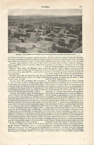 LAMINA ESPASA 23486: Vista general de Palmira en Siria