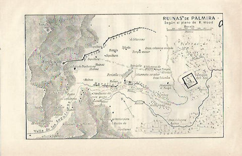 LAMINA ESPASA 23487: Mapa de las ruinas de Palmira en Siria