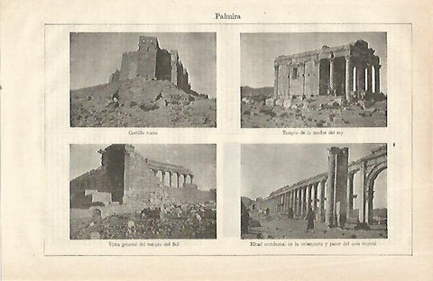 LAMINA ESPASA 23488: Vistas de Palmira en Siria