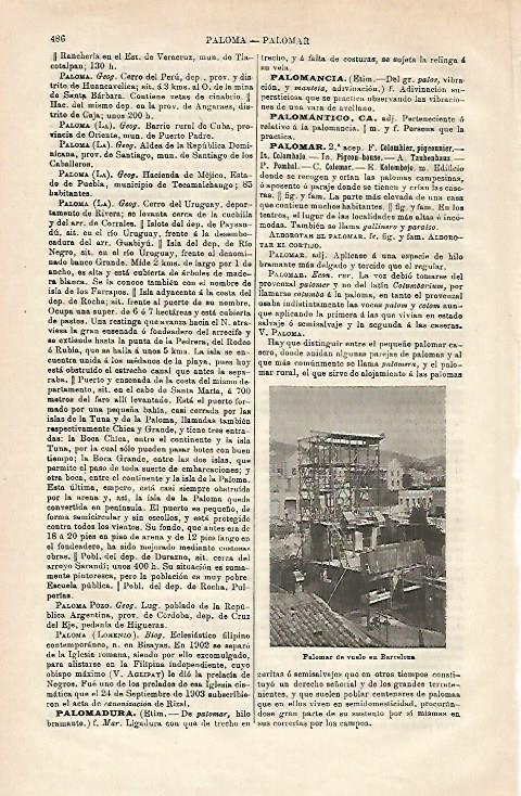 LAMINA ESPASA 23495: Palomar de vuelo en Barcelona