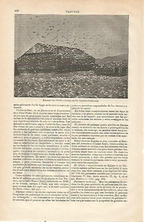 LAMINA ESPASA 23496: Palomar en Los Angeles