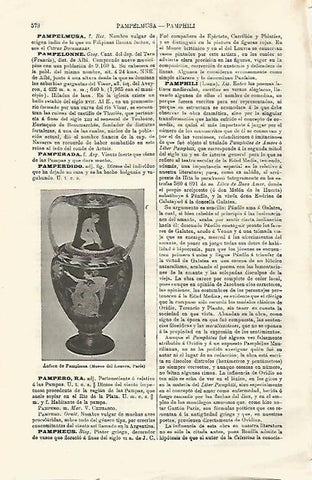LAMINA ESPASA 23510: Anfora de Pampheus