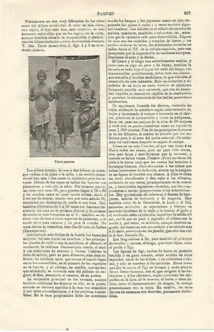 LAMINA ESPASA 23518: Hombres pamues