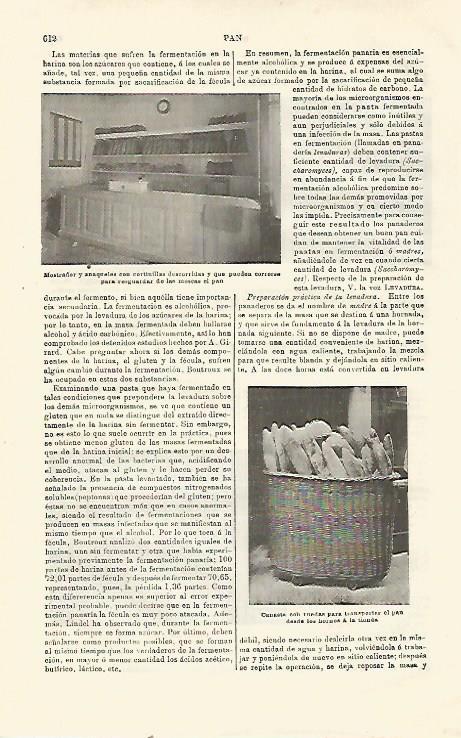 LAMINA ESPASA 23522: Mostrador y canasta de pan