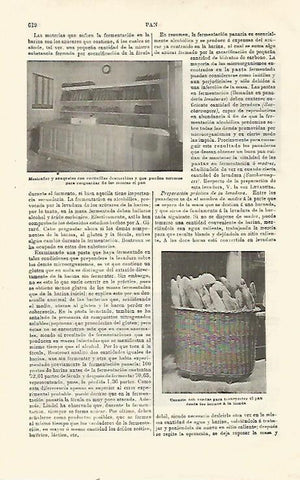 LAMINA ESPASA 23522: Mostrador y canasta de pan