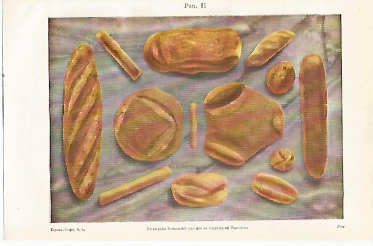LAMINA ESPASA 23525: Tipos de pan de Barcelona