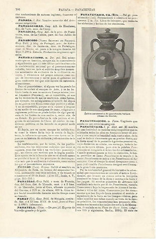 LAMINA ESPASA 23543: Anfora panatenaica
