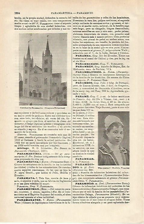 LAMINA ESPASA 23623: Catedral de Paramaribo
