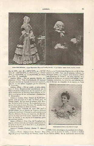 LAMINA ESPASA 23666: Amelia Maria de Borbon