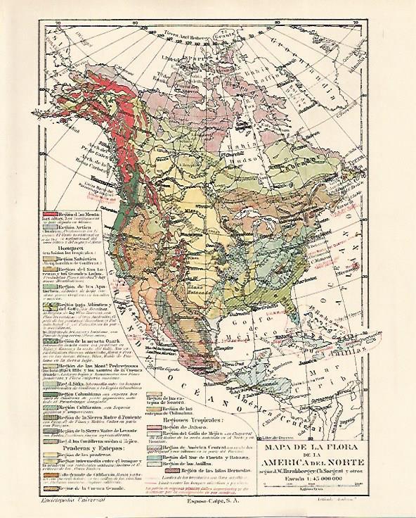LAMINA ESPASA 23676: Mapa de la flora de America del Norte