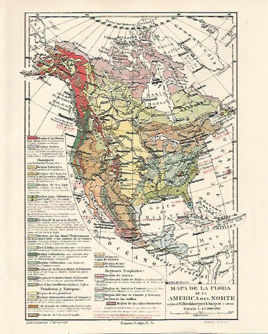 LAMINA ESPASA 23676: Mapa de la flora de America del Norte