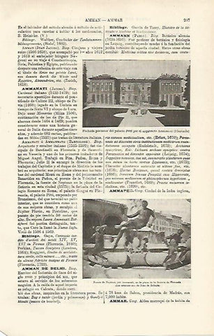 LAMINA ESPASA 23693: Palacio Pitti