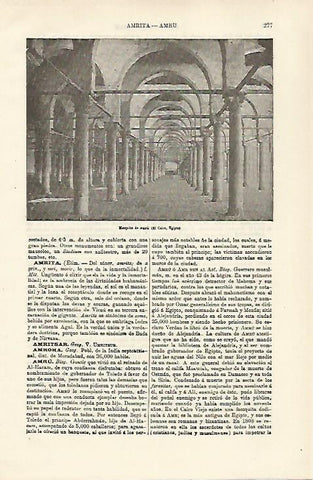 LAMINA ESPASA 23709: Mezquita de Amru en El Cairo