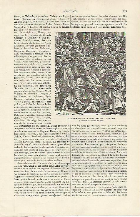 LAMINA ESPASA 23734: Portada de Anatomia de Andres Vesale