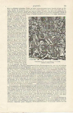 LAMINA ESPASA 23734: Portada de Anatomia de Andres Vesale