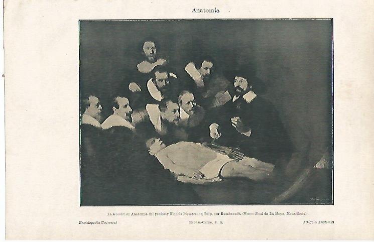 LAMINA ESPASA 23735: La leccion de anatomia por Rembrandt