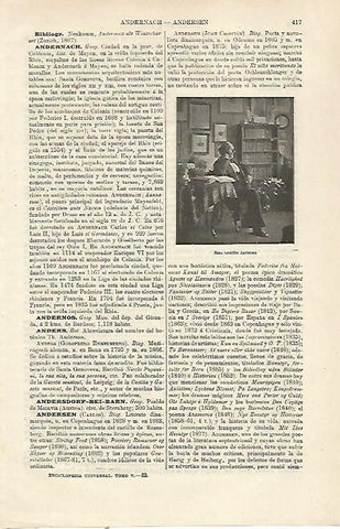 LAMINA ESPASA 23747: John Christian Andersen