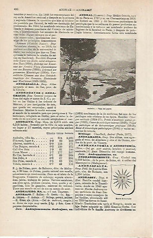 LAMINA ESPASA 23755: Puerto de Andraitx
