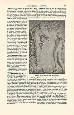LAMINA ESPASA 23764: Andromeda libertada por Perseo