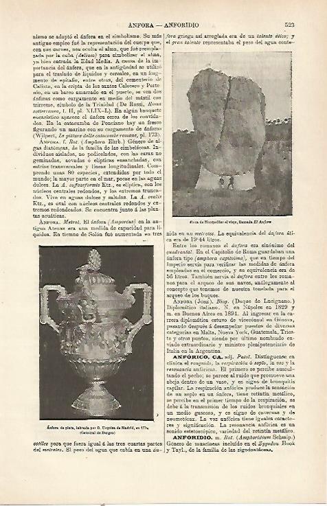 LAMINA ESPASA 23779: Roca de Montpellier el viejo