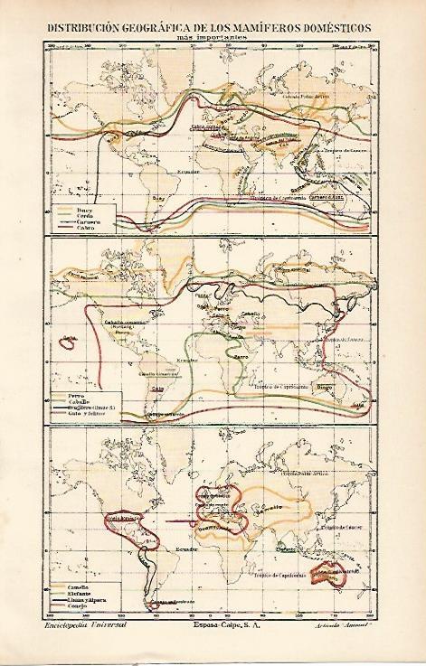 LAMINA ESPASA 23798: Mapa de la distribucion geografica de los mamiferos domesticos